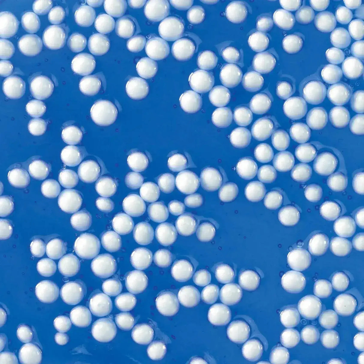 Crazy Aaron's Putty Crackle'n Kraken - Popp'n - Toybox Tales