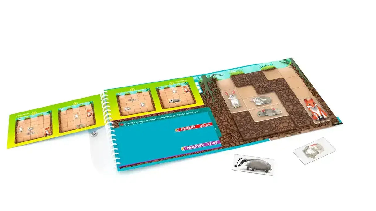 Smart Games | Magnetic | Down the Rabbit Hole - Toybox Tales