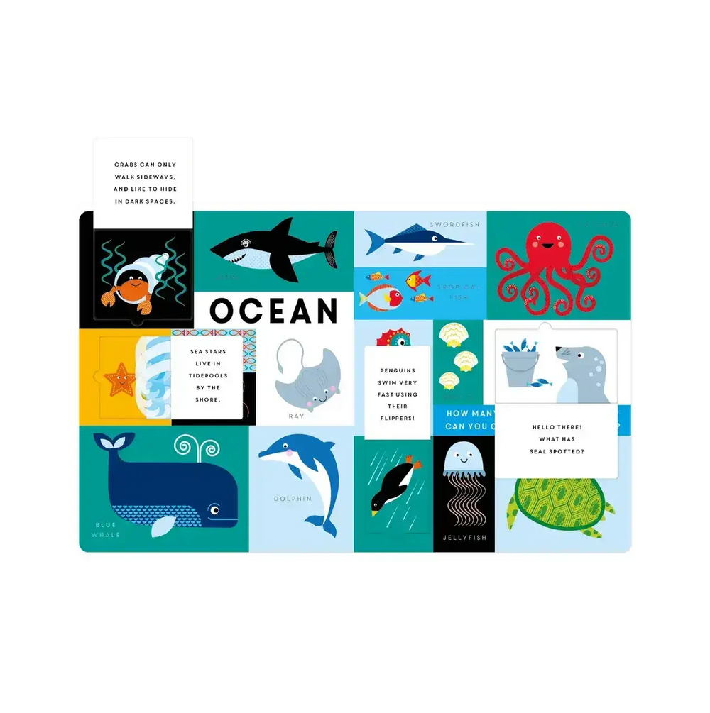 Lift the Flap - Animals - Toybox Tales