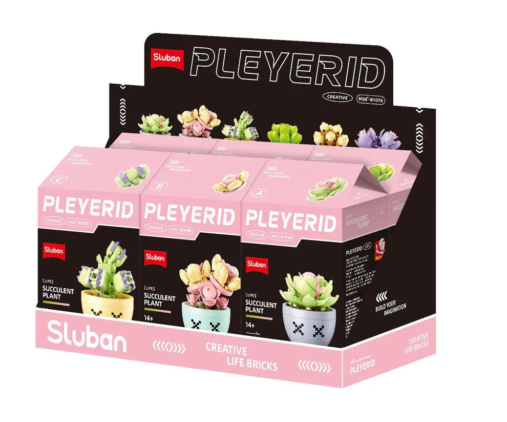 Sluban | Flowers | Potted Plants Succulent (Assorted)