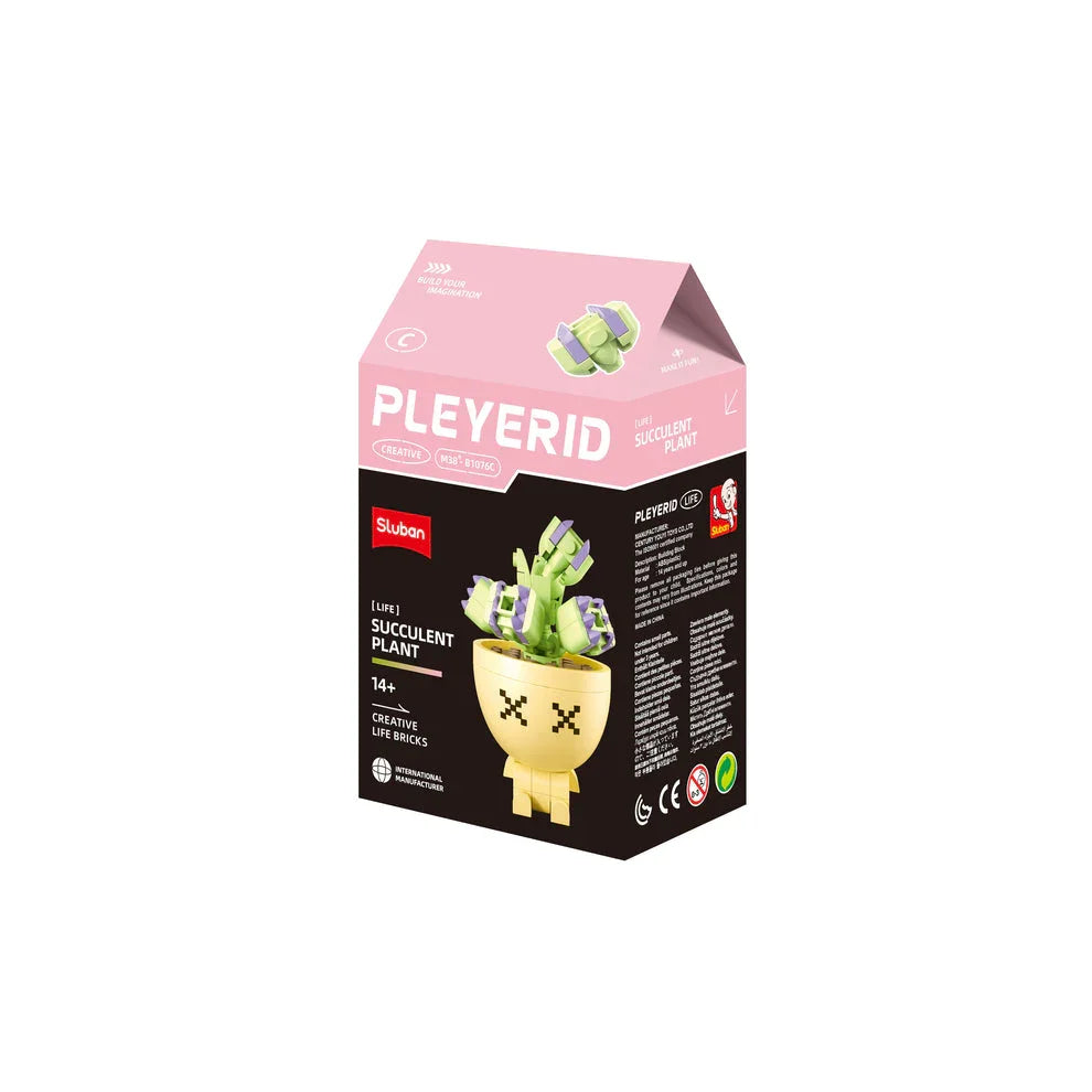 Sluban | Flowers | Potted Plants Succulent (Assorted)