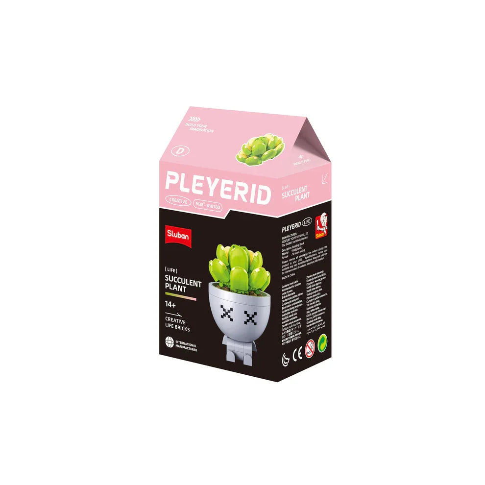 Sluban | Flowers | Potted Plants Succulent (Assorted)