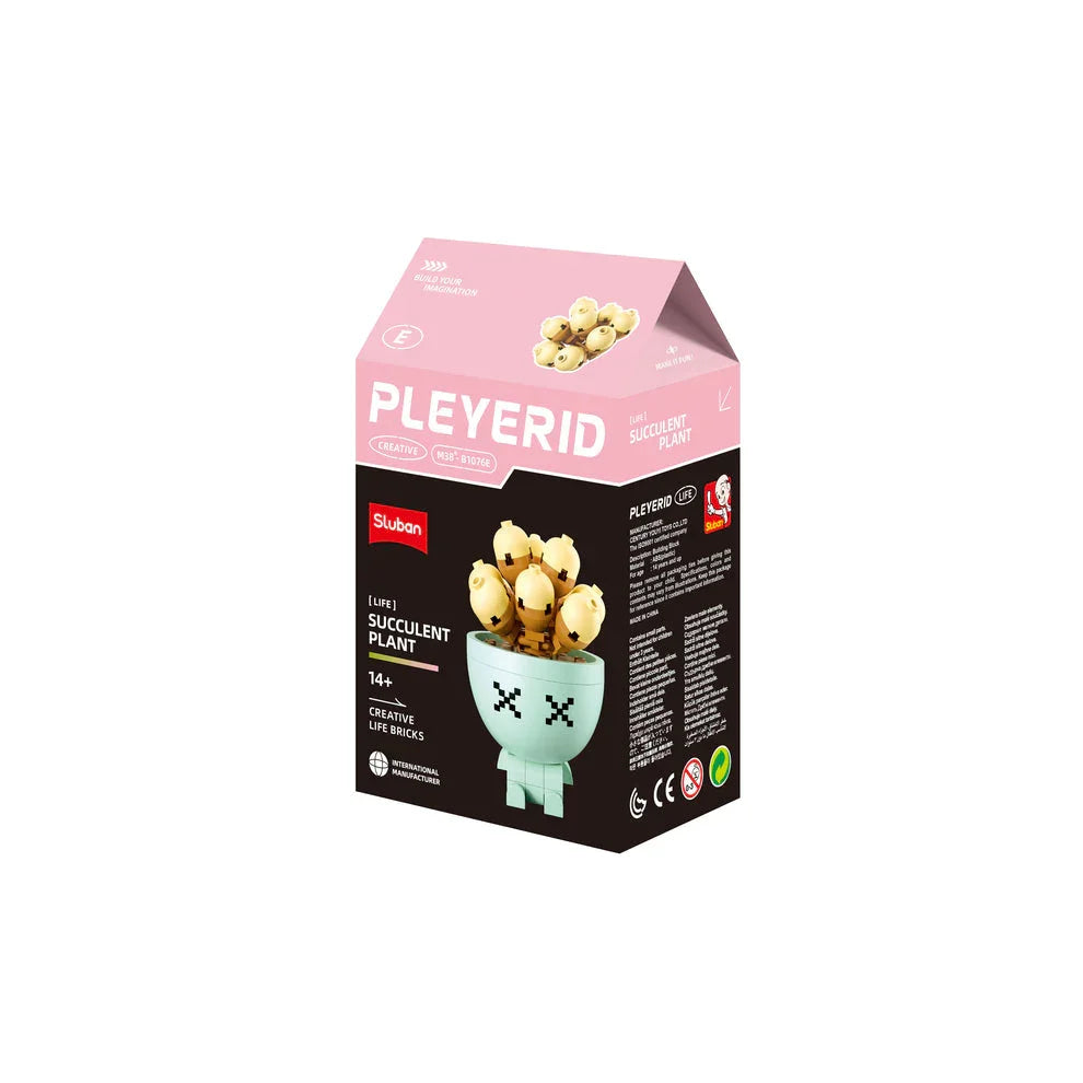 Sluban | Flowers | Potted Plants Succulent (Assorted)