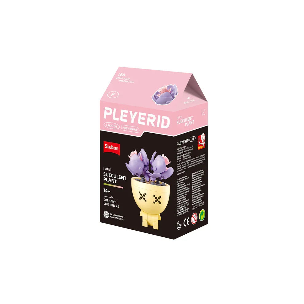 Sluban | Flowers | Potted Plants Succulent (Assorted)