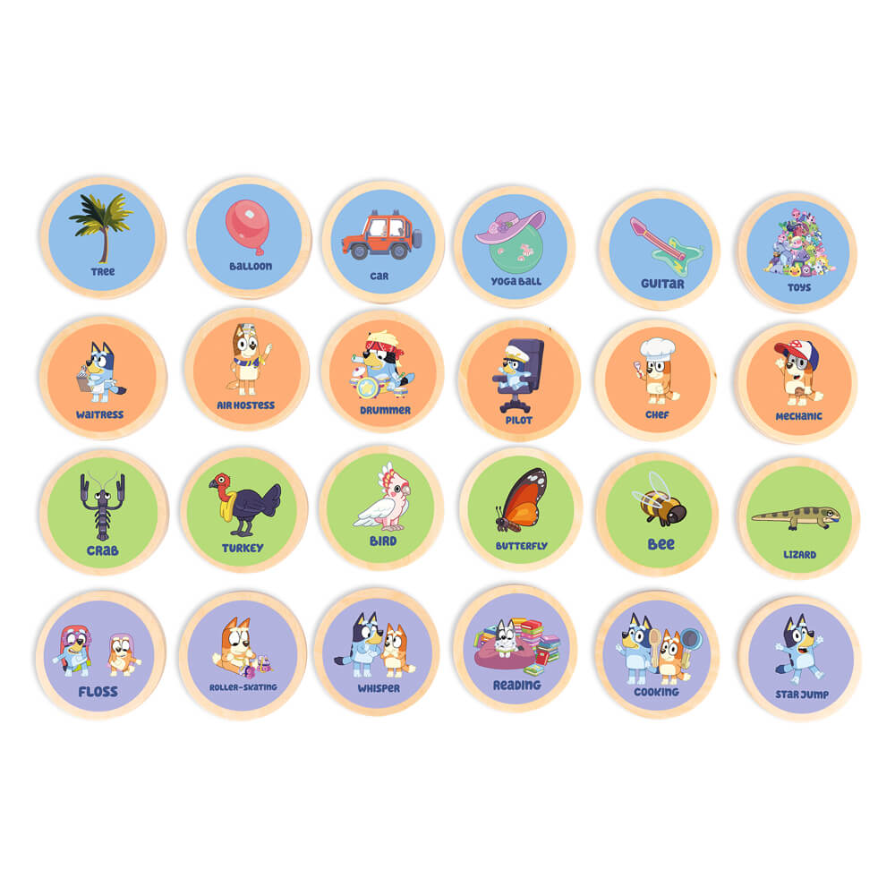 Full set of illustrated wooden charades picture discs