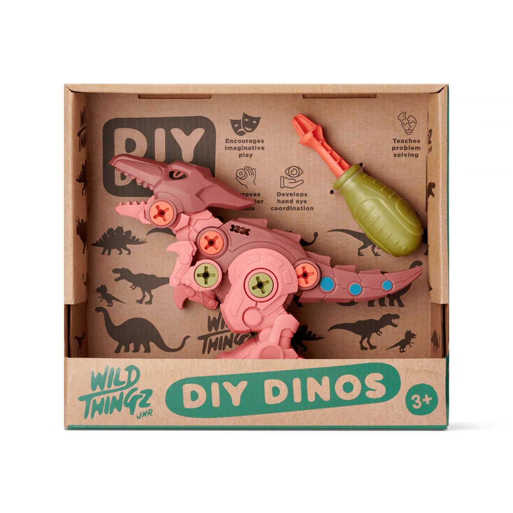 DIY Dino | Pterosaur
