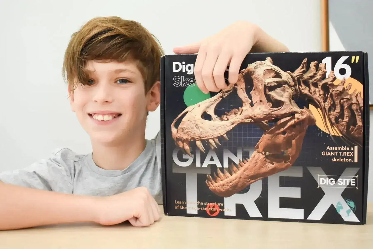 Giant T-Rex Dig Site - Toybox Tales