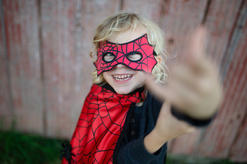 Great Pretenders | Reversible Spider & Bat Cape with Mask