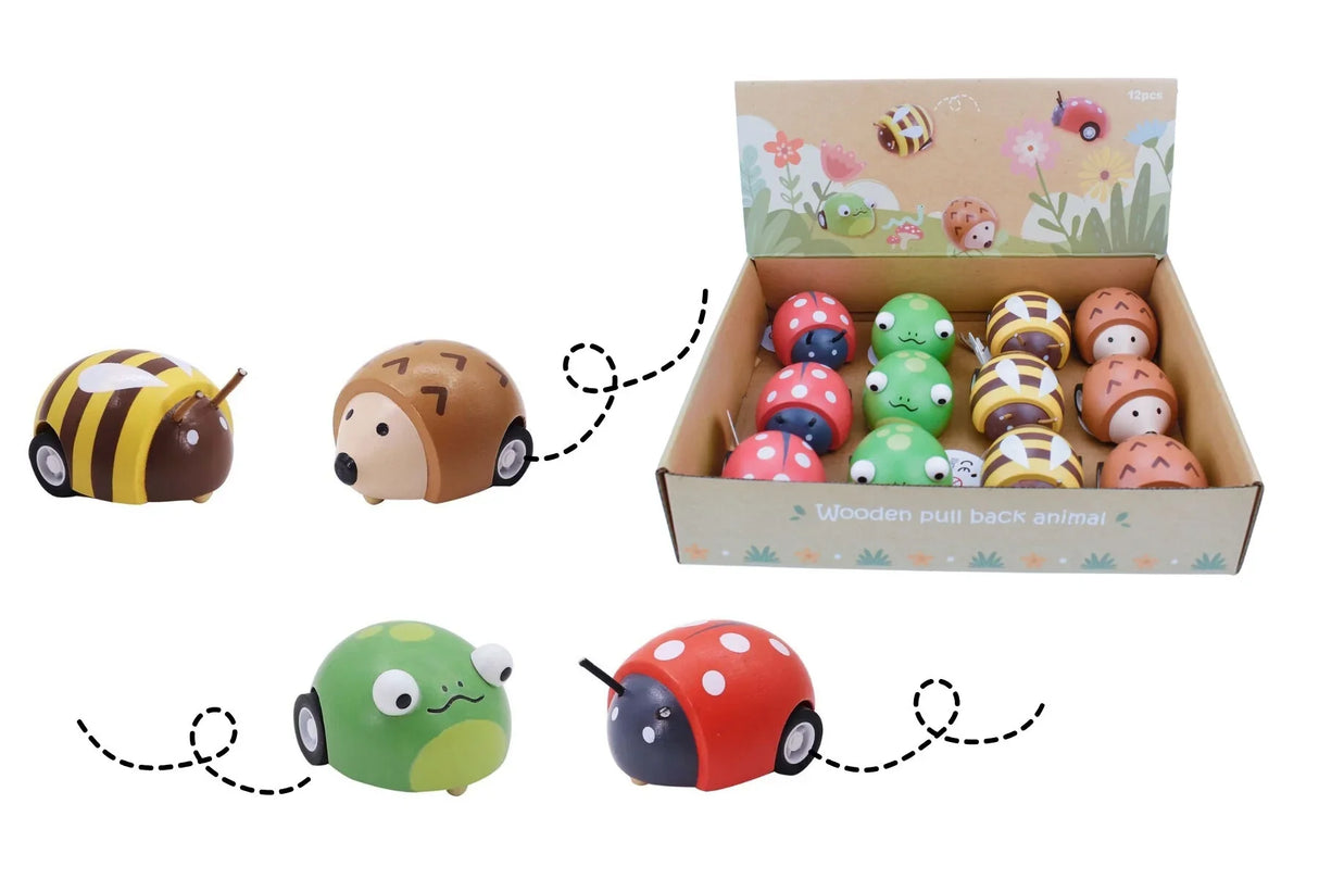 Wooden Pull Back Spring Insect