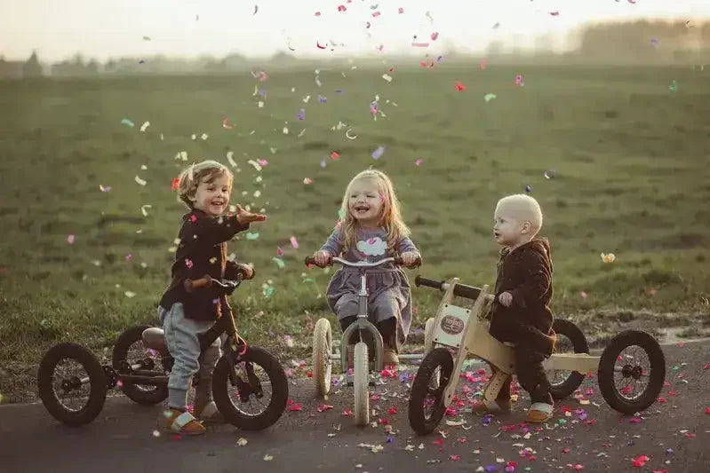 Trybike | Black with Black Tyres | Trike & Balance Bike - Toybox Tales