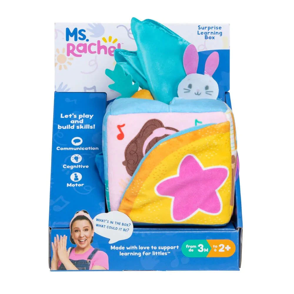Ms Rachel Surprise Learning Box