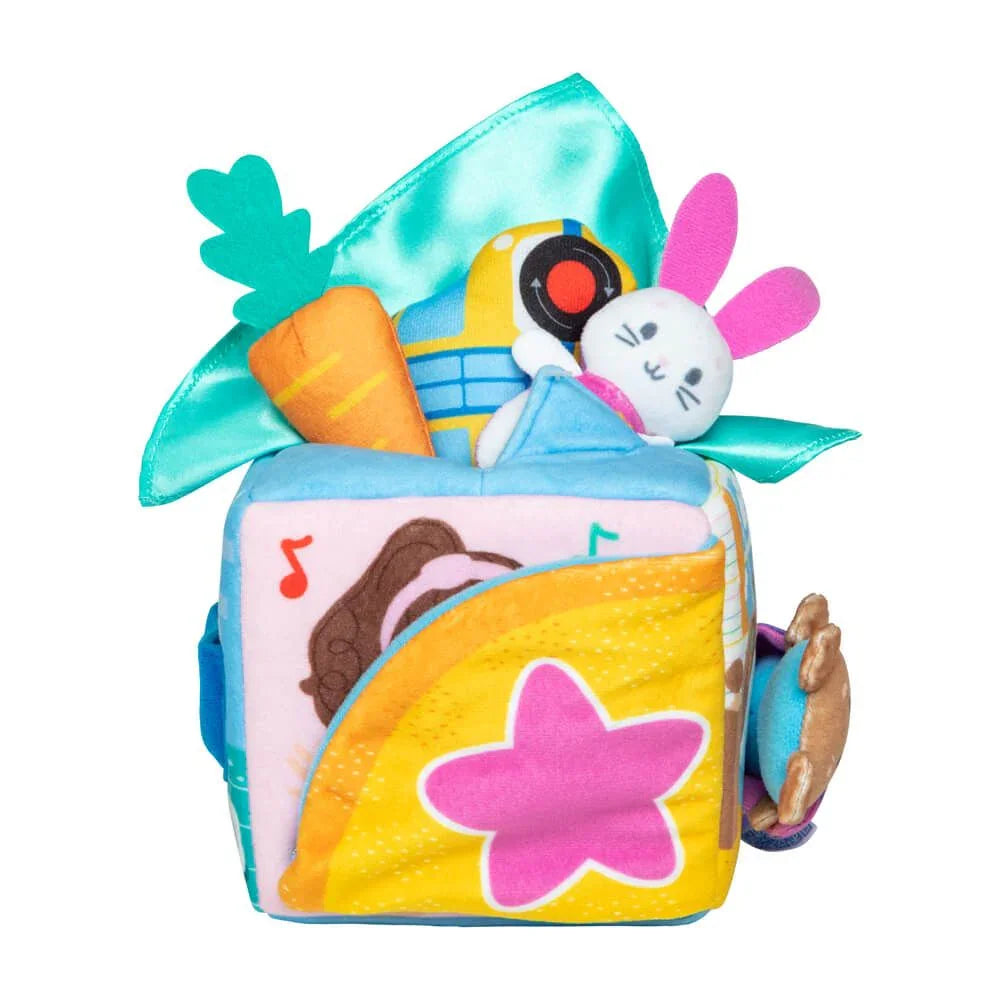 Ms Rachel Surprise Learning Box