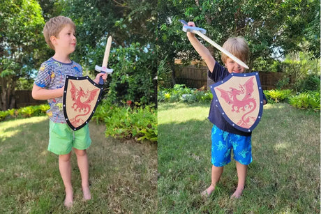 Sword and Shield - Dragon - Toybox Tales