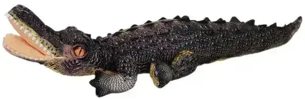 Crocodile Cassius 75cm Long - Toybox Tales
