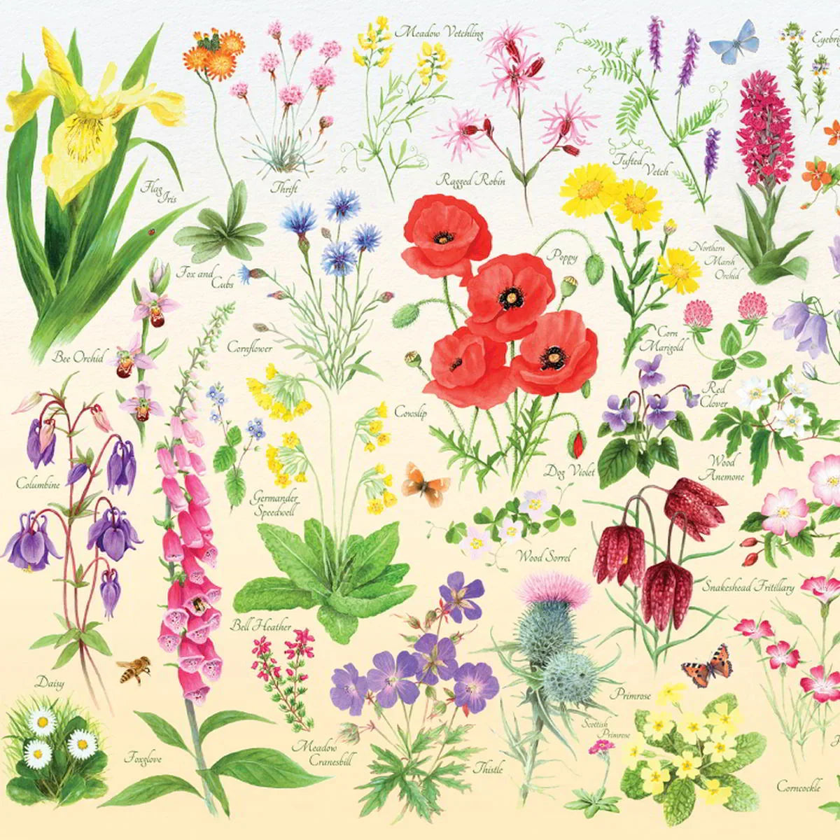 House of Puzzles | Wildflowers | 1000 Piece Puzzle