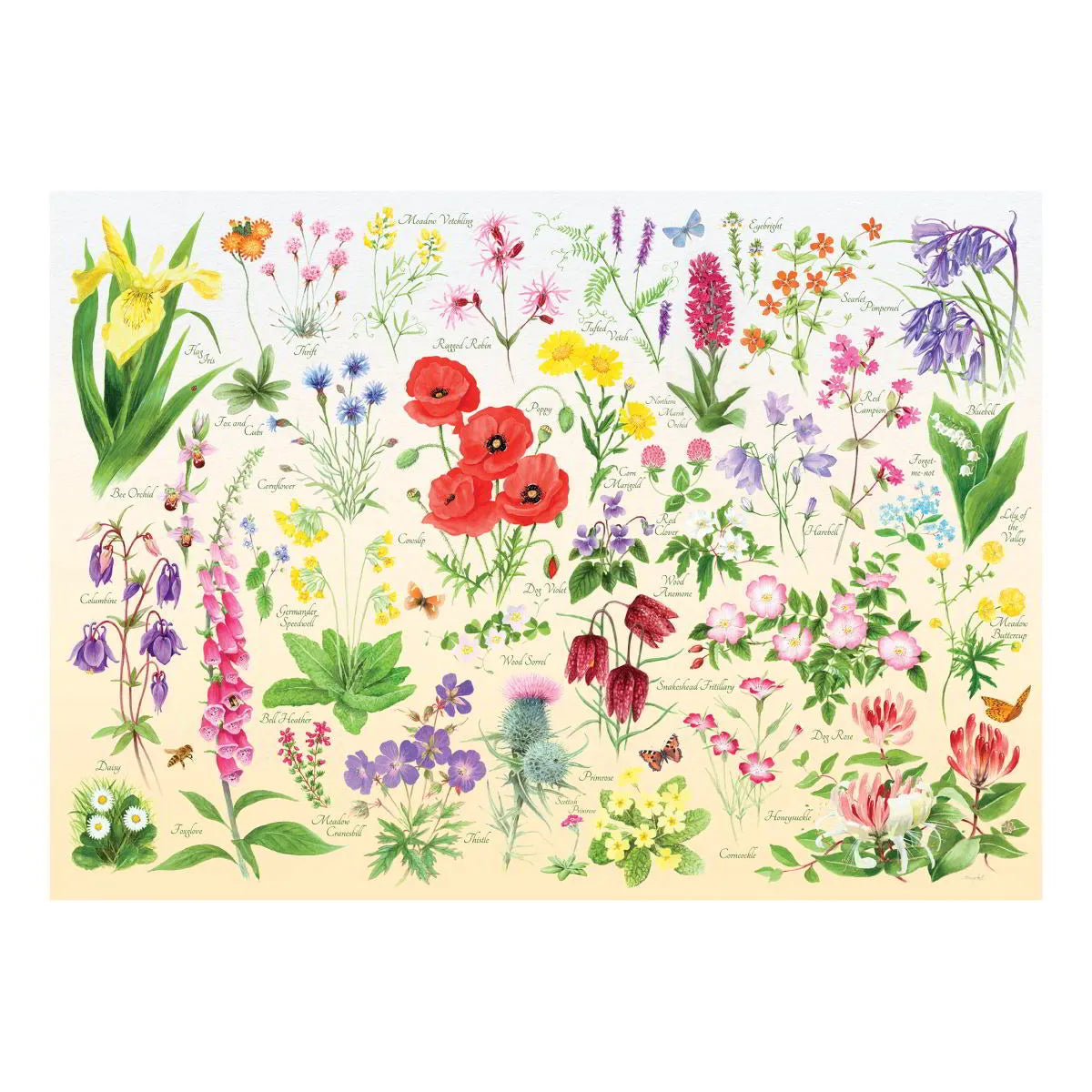 House of Puzzles | Wildflowers | 1000 Piece Puzzle