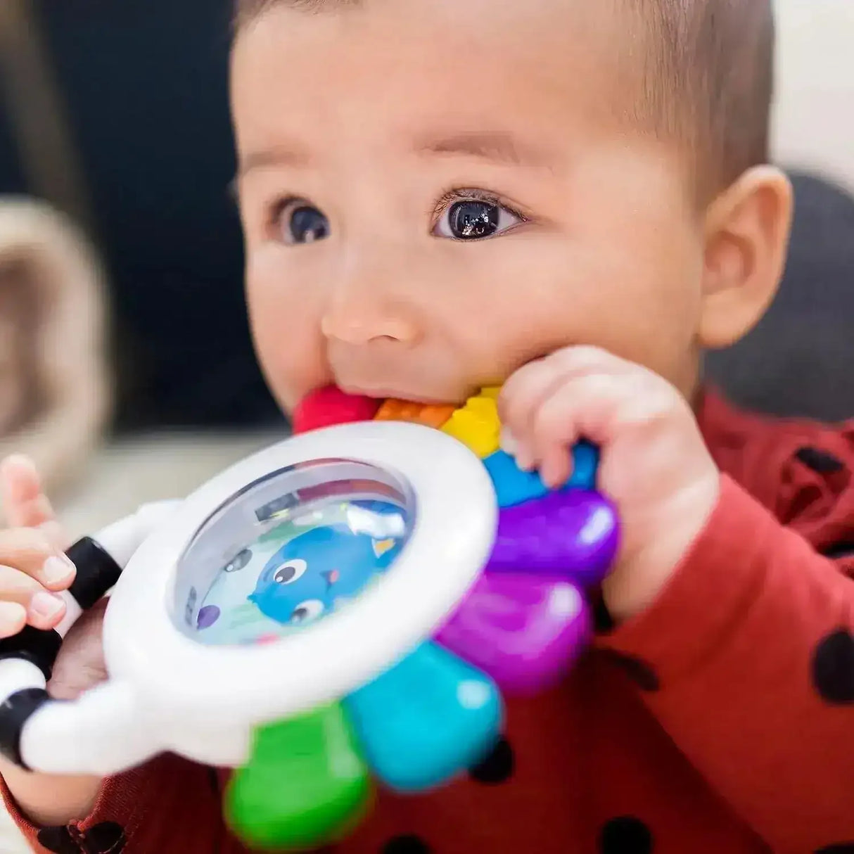 Baby Einstein Opus Sensory Rattle & Teether - Toybox Tales