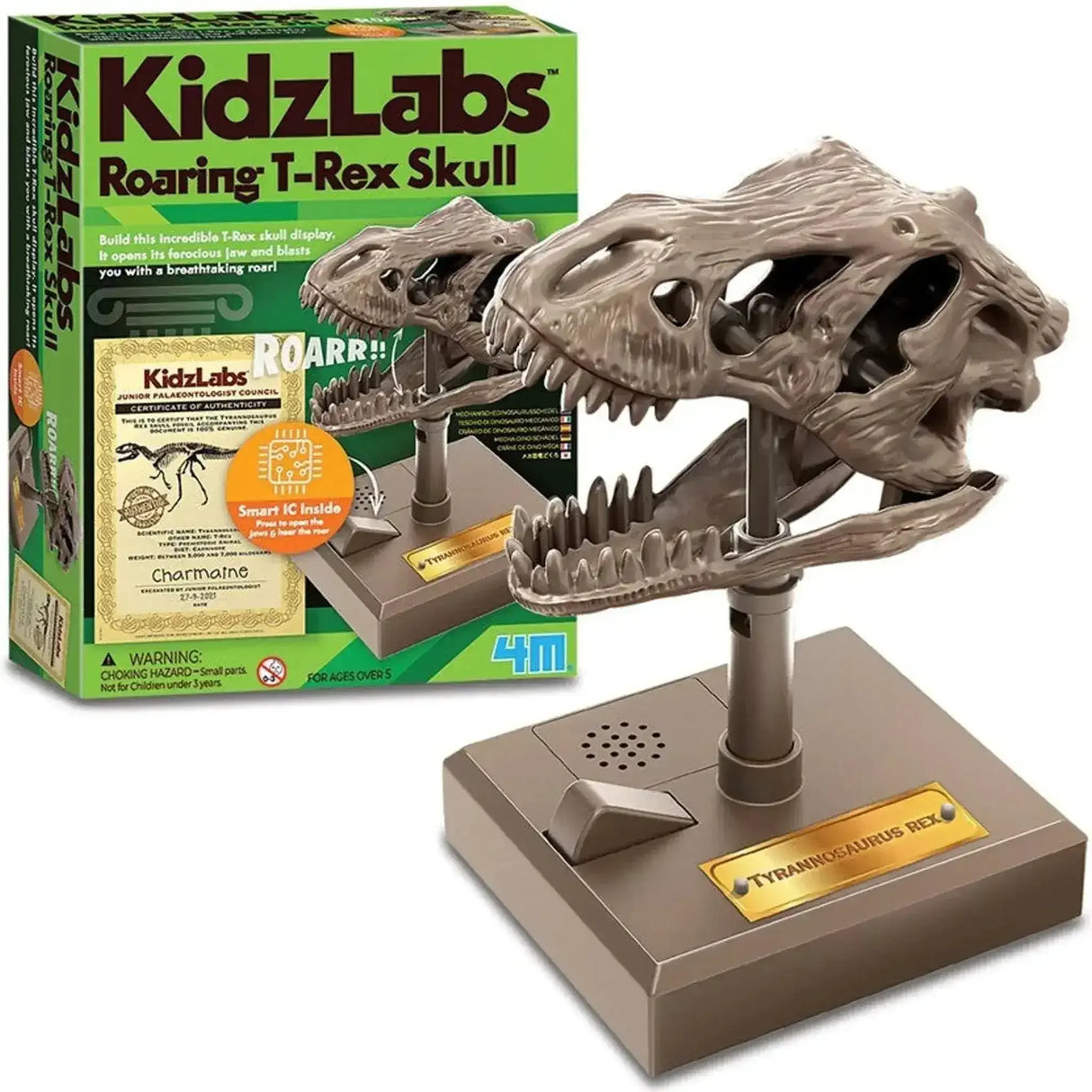 4M Roaring T-Rex Skull - Toybox Tales