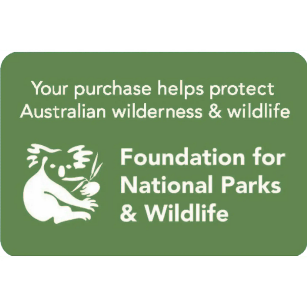 Bug Spotter Kit - Toybox Tales