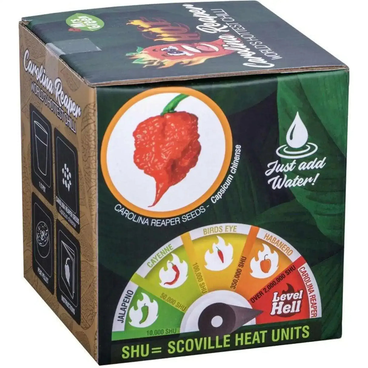 Carolina Reaper Chilli Growing Kit: The World's Hottest Chilli - Toybox Tales