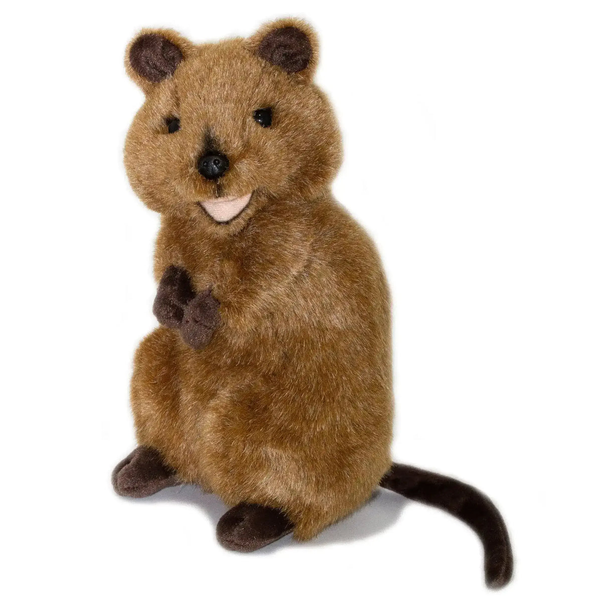 Edward the Quokka - Toybox Tales