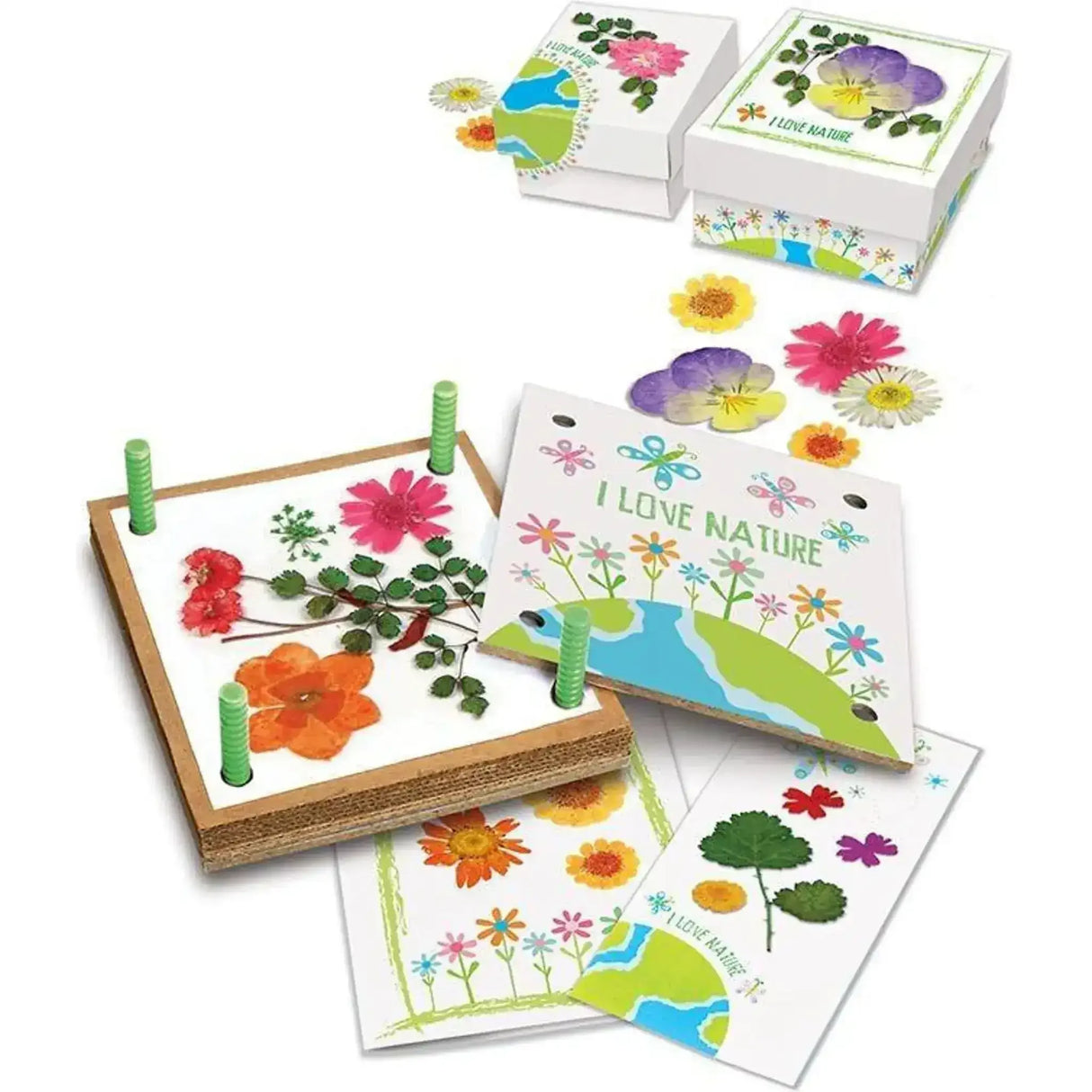 Green Science: Pressed Flower Art - Toybox Tales