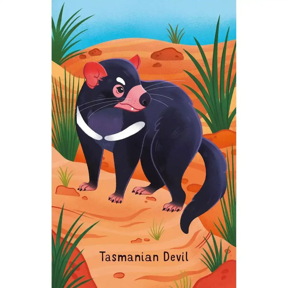 Snap - Australian Animals - Toybox Tales