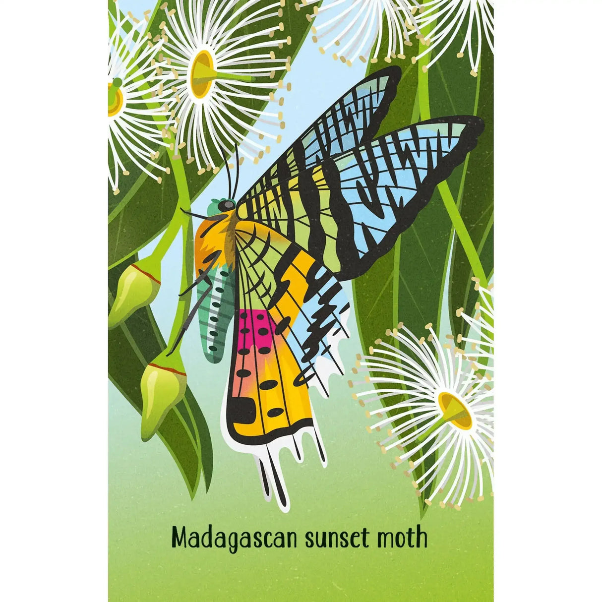 Snap - Bugs - Toybox Tales