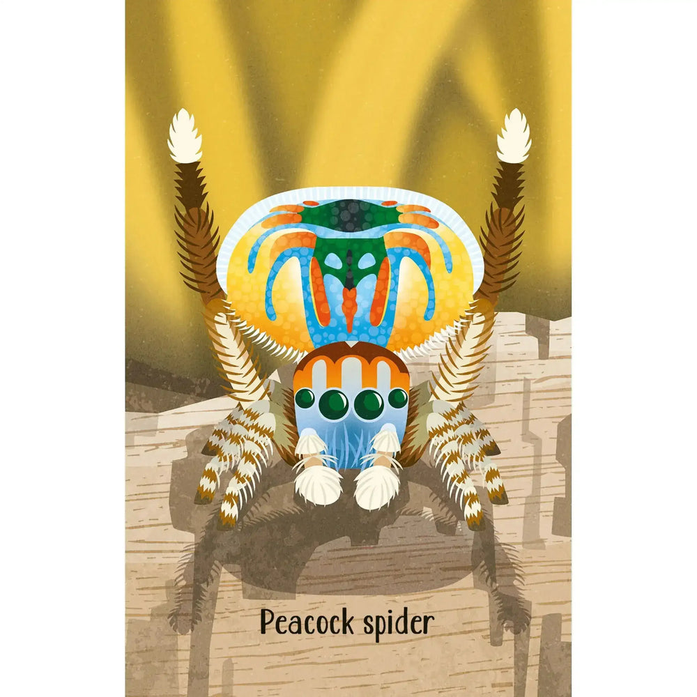 Snap - Bugs - Toybox Tales