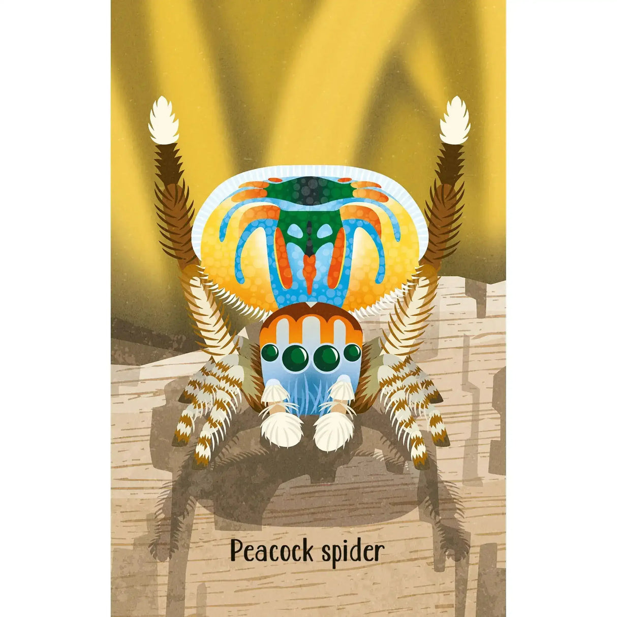 Snap - Bugs - Toybox Tales