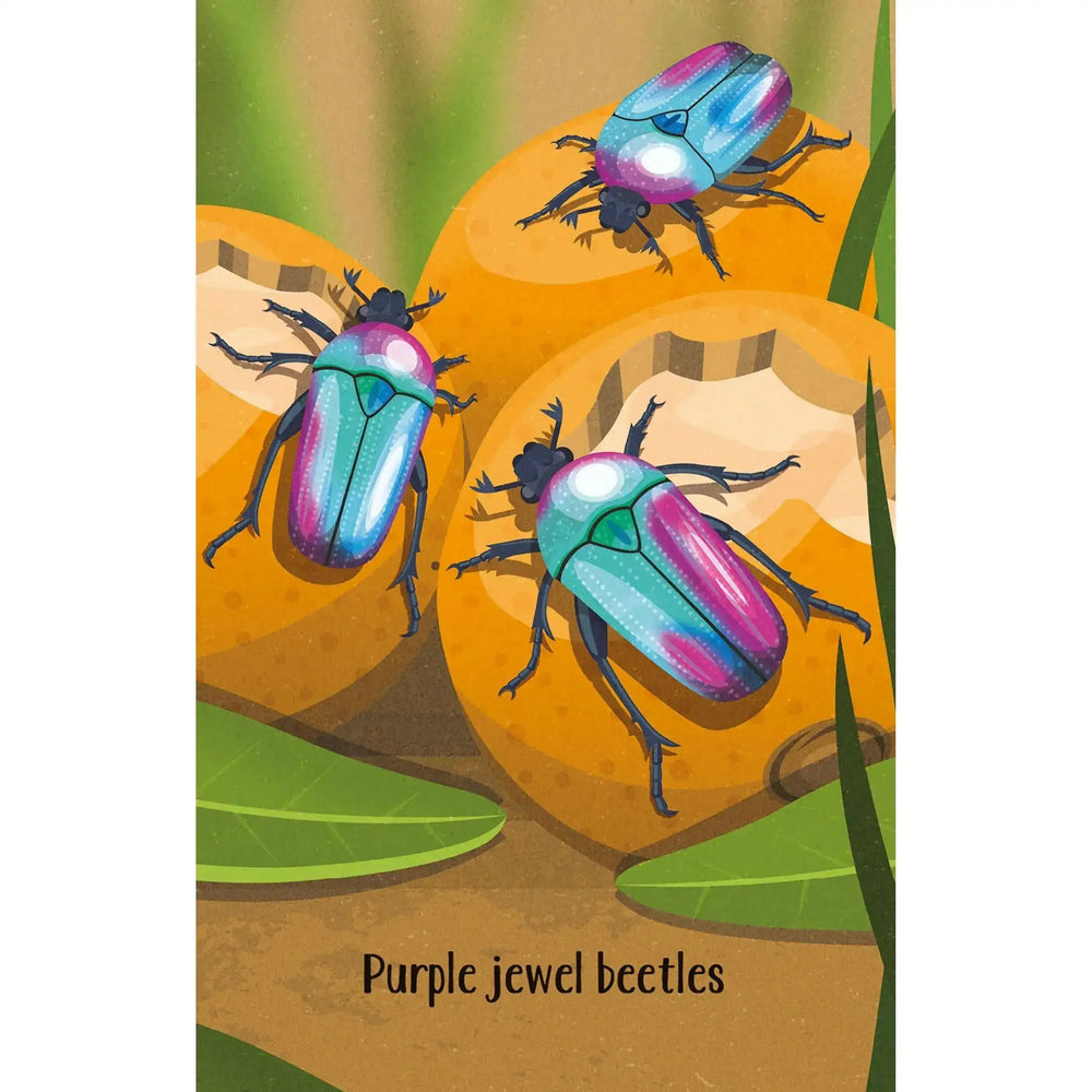 Snap - Bugs - Toybox Tales