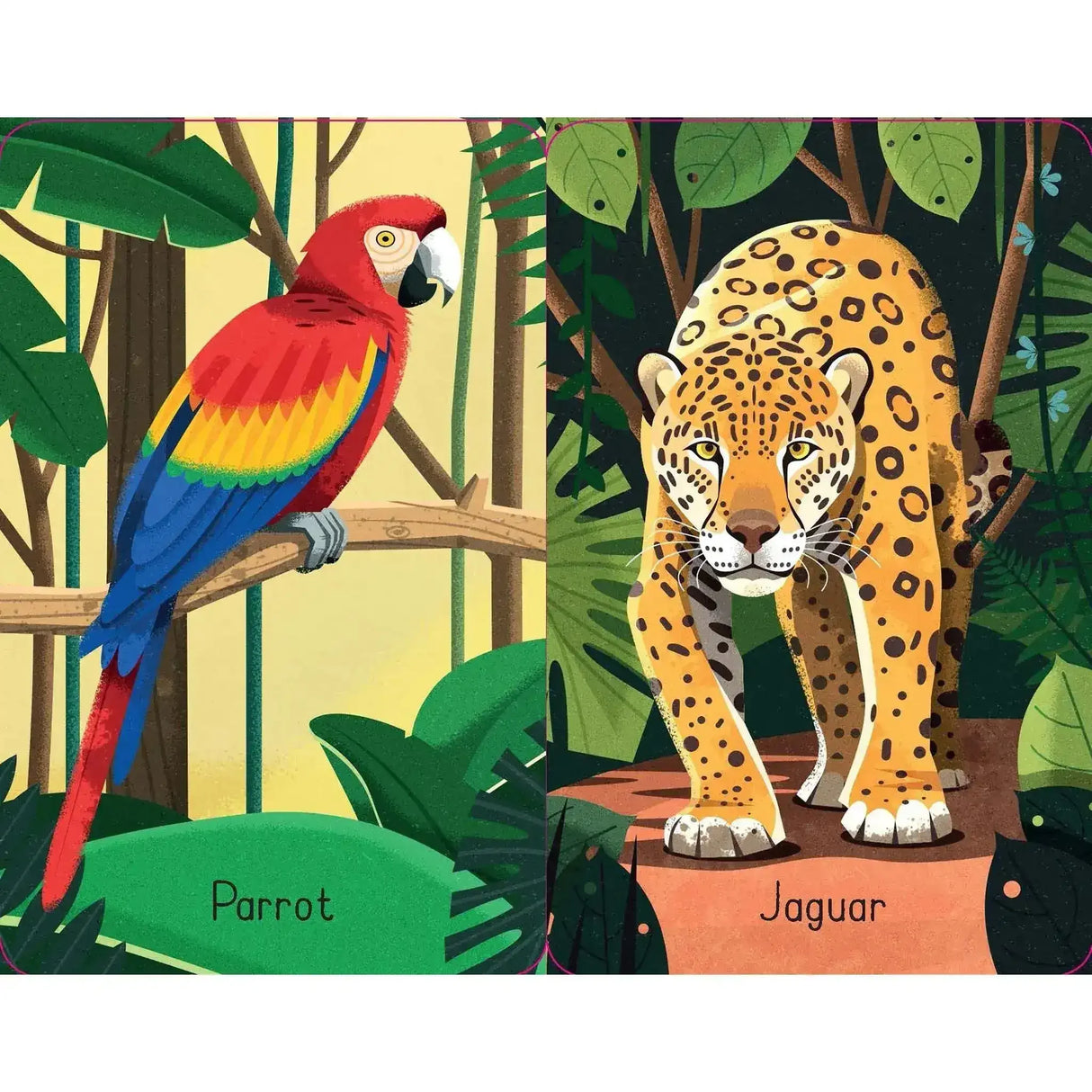 Snap - Jungle - Toybox Tales