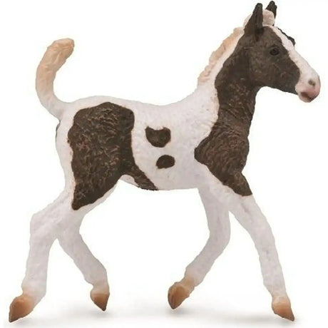 CollectA | Curly Horse Foal (M) - Toybox Tales