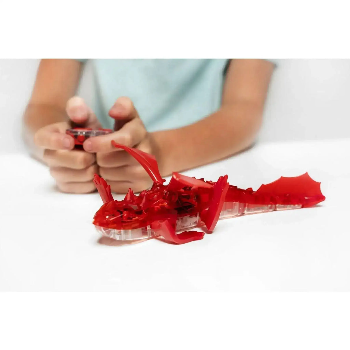 HEXBUG Dragon - Toybox Tales