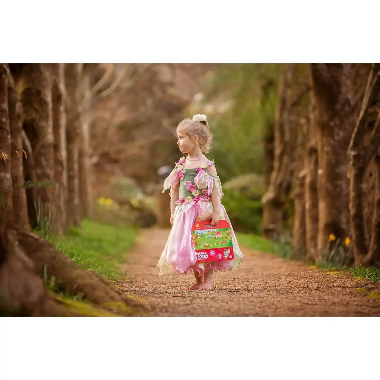 Magna carry forest fairies - Toybox Tales