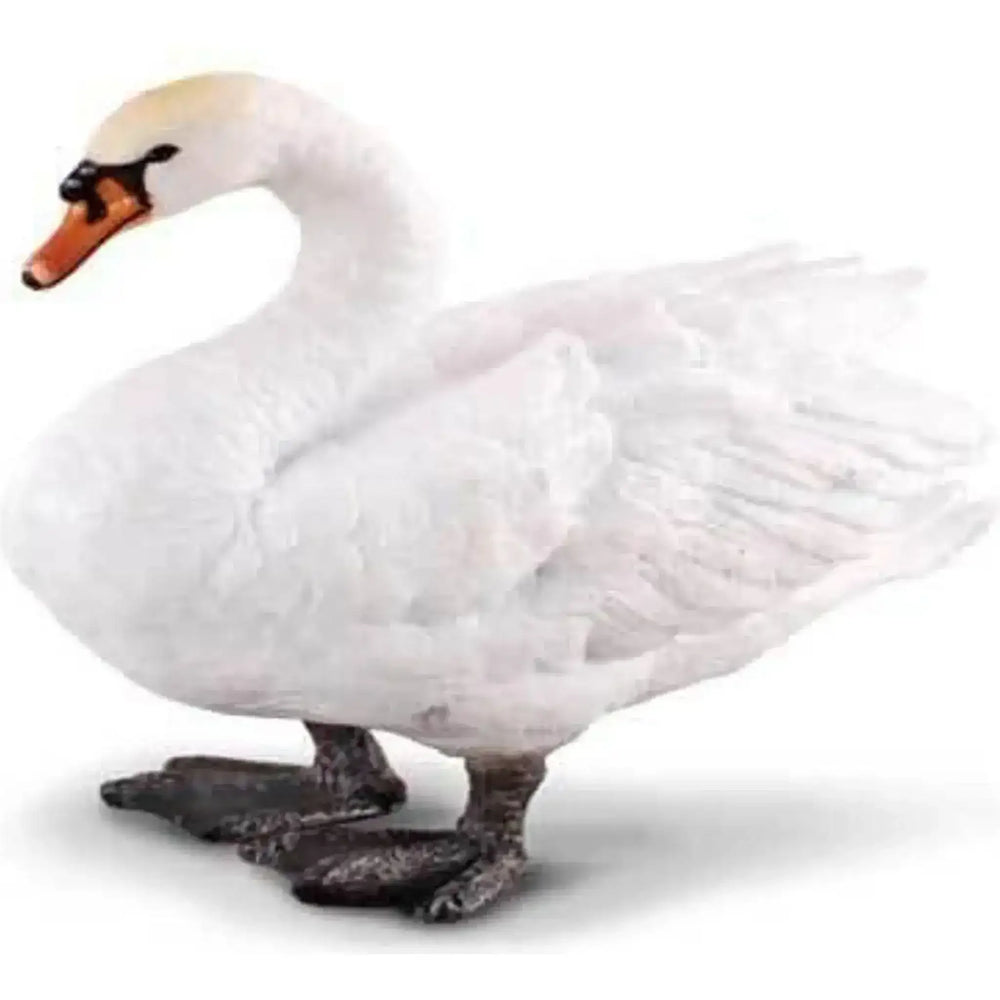 CollectA | Mute Swan (M) - Toybox Tales