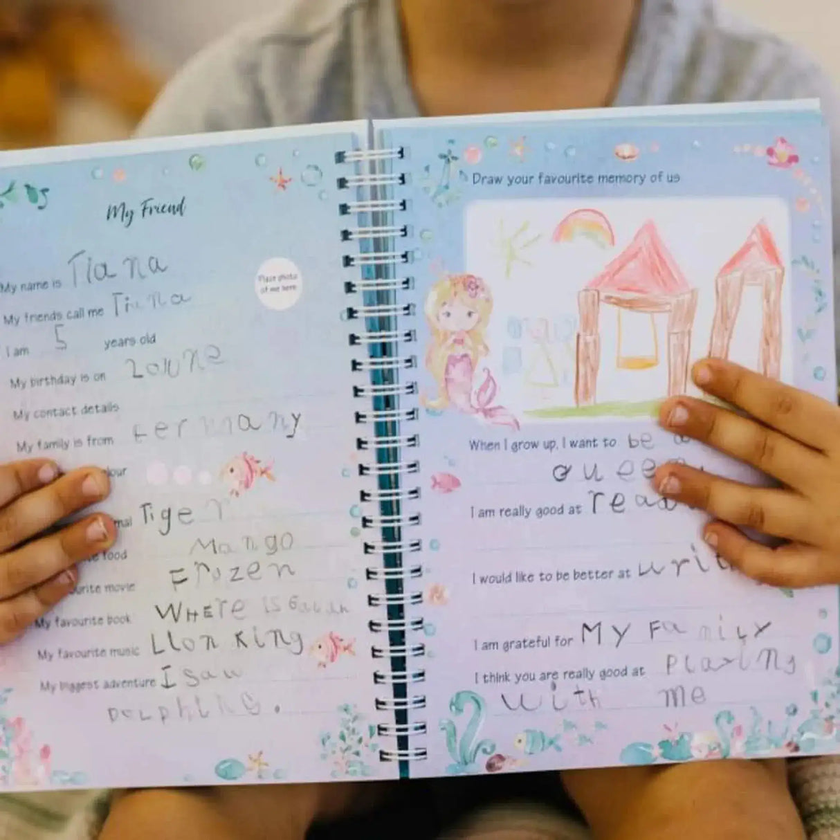 My Friendship Book - Toybox Tales