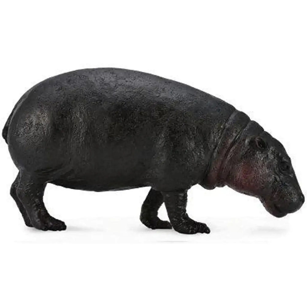 CollectA | Pygmy Hippopotamus (L) - Toybox Tales