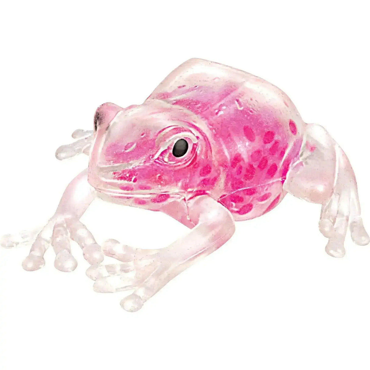 Schylling: Squish The Frog - Toybox Tales