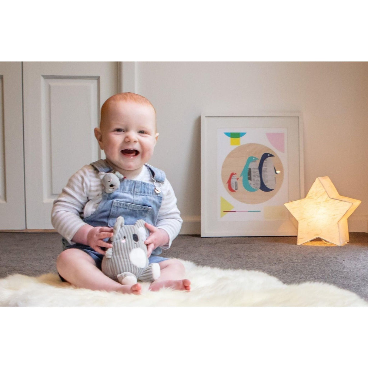 Sensory Set - Koala Buddies - Toybox Tales