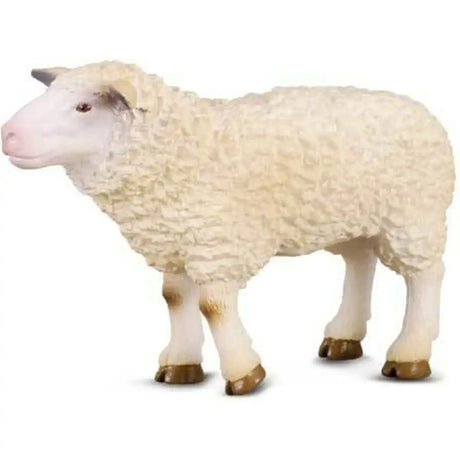 CollectA | Sheep (M) - Toybox Tales