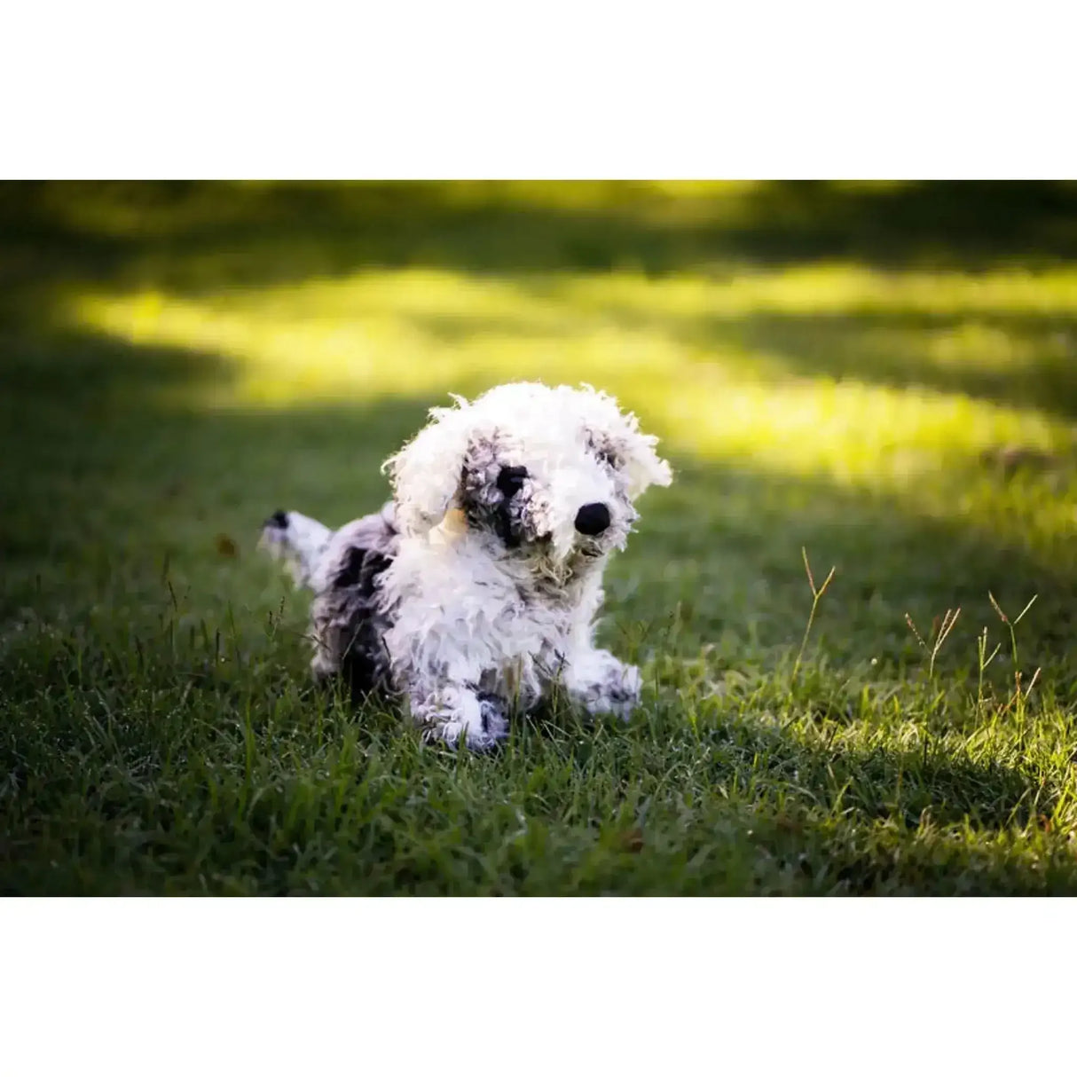 Shih Tzu Dog Puppet - Toybox Tales