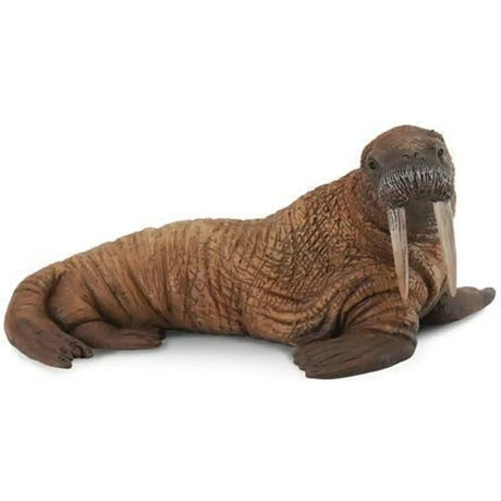 CollectA | Walrus (L) - Toybox Tales