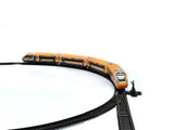 Nav Bharat Electric Saffron Express