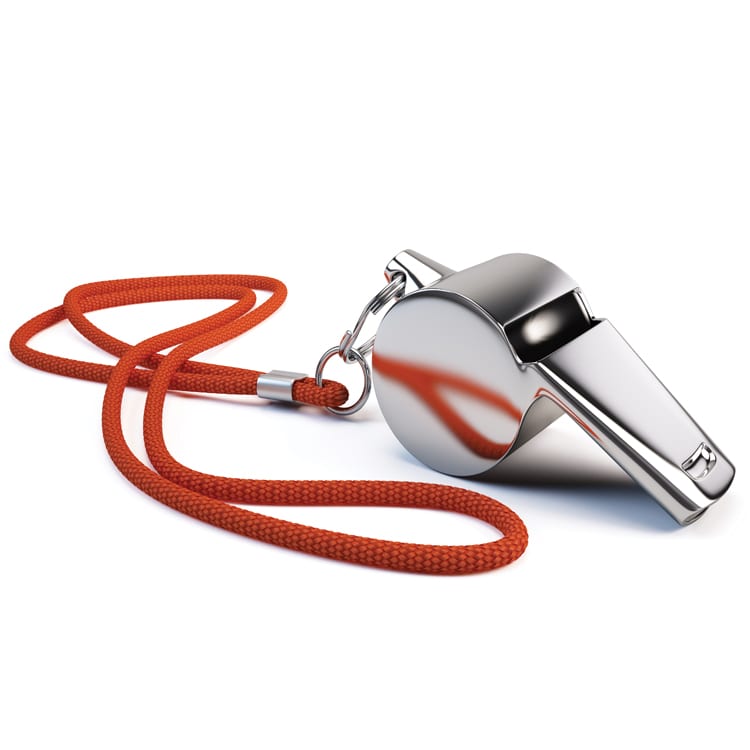 Metal Adventurers Whistle