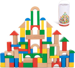 Tooky Toy | 100 Piece Wooden Block Set