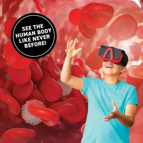 Virtual Reality Gift Box - Human Body - Toybox Tales