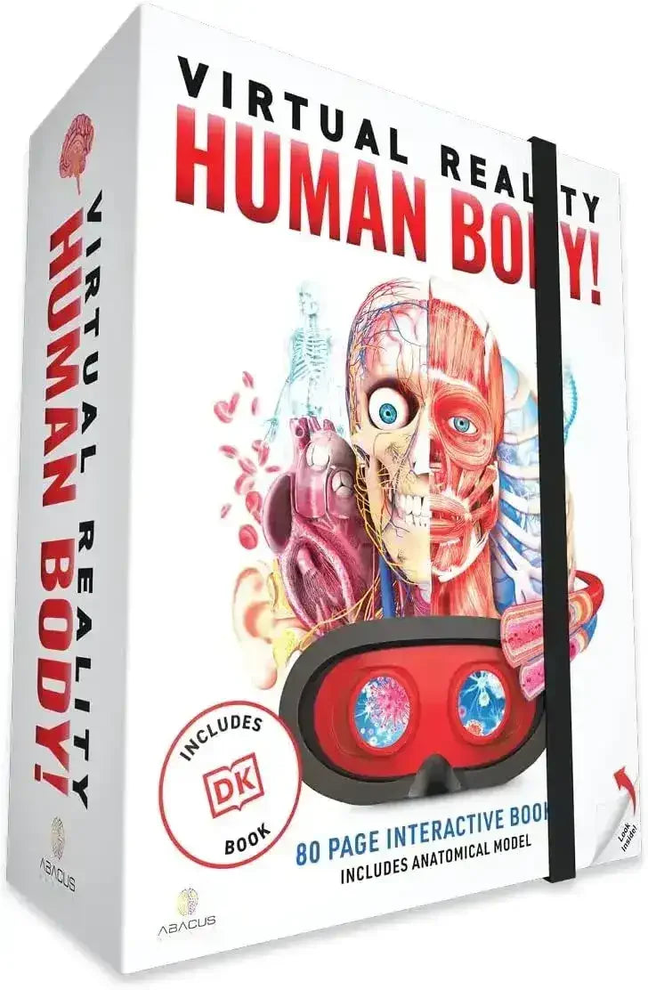 Human Geometry Box Abacus | Virtual Reality Gift Box | Human Body – Toybox Tales