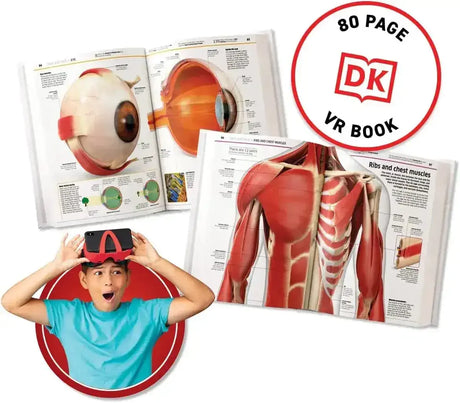 Virtual Reality Gift Box - Human Body - Toybox Tales