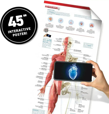 Virtual Reality Gift Box - Human Body - Toybox Tales
